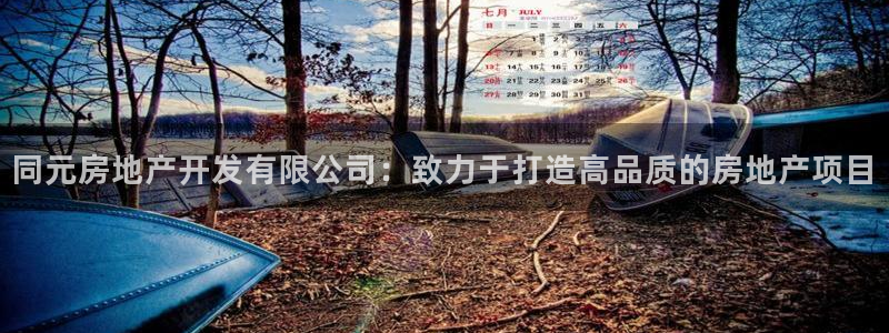 万向娱乐是野鸡台吗