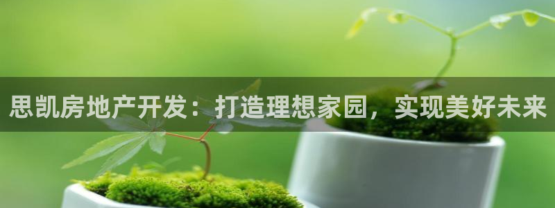万向娱乐老板