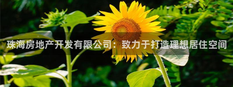 万向娱乐平台提现多久到账