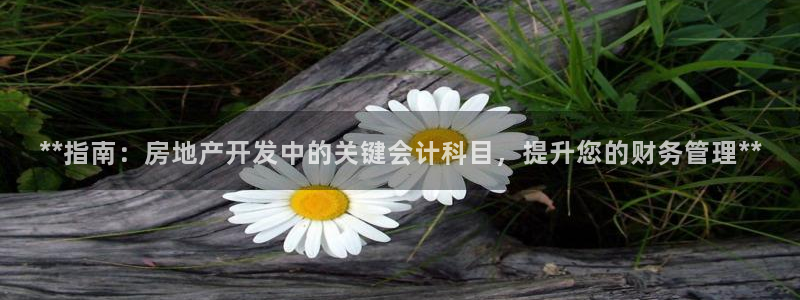 万向娱乐是哪个旗下