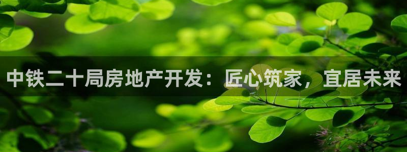 万向娱乐是野鸡台吗