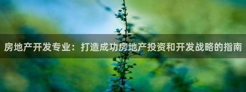 万向娱乐公司 585.34I 娱乐