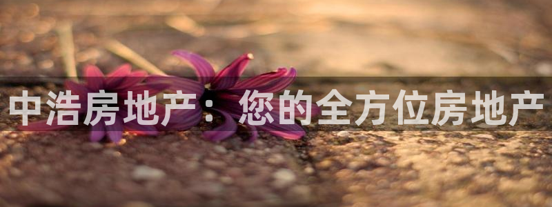 万向娱乐平台代理怎么做赚钱