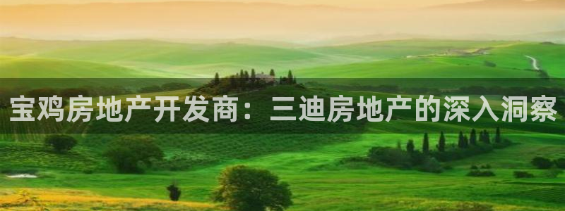 万向娱乐挂机软件