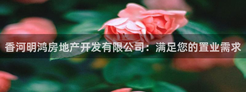 万向娱乐平台好不