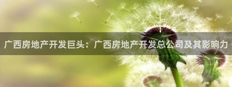 万向娱乐平台好不