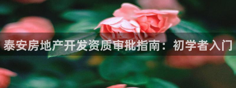 万向娱乐是哪个旗下