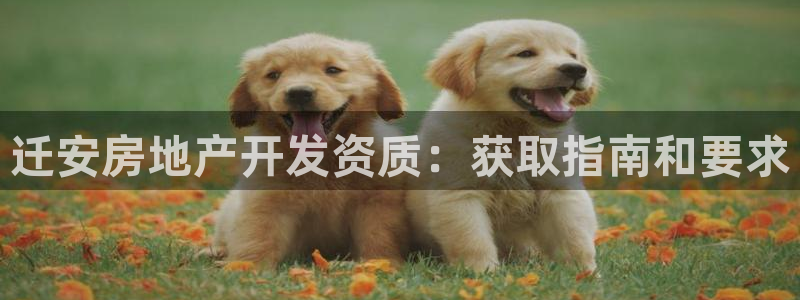 万向娱乐王者荣耀
