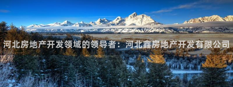 万向娱乐平台代理多少钱一个