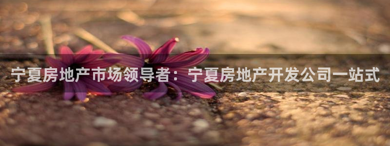 万向娱乐平台下载安装