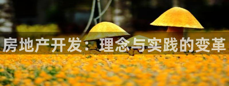 万向娱乐总代