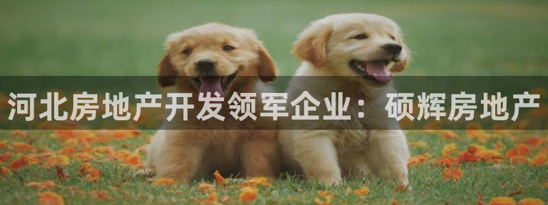 万向娱乐平台代理怎么做赚钱
