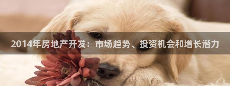 万向娱乐app下载安装