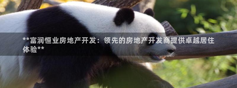 万向娱乐app下载官网