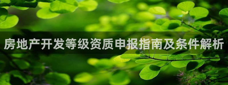 万向娱乐王者荣耀