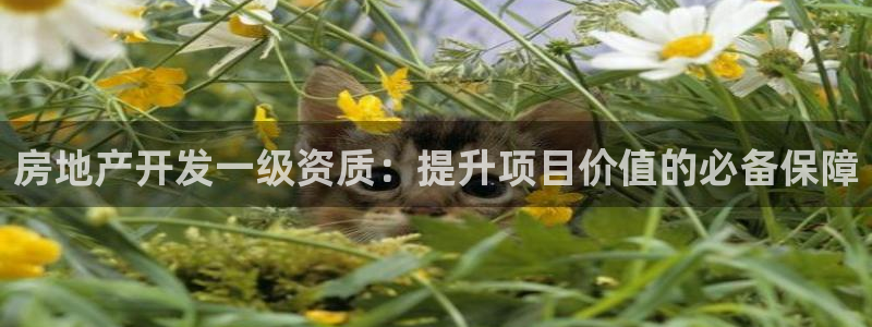 万向娱乐平台代理怎么做