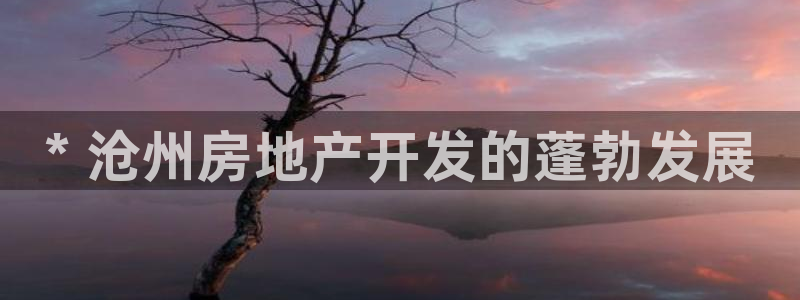 万向娱乐
