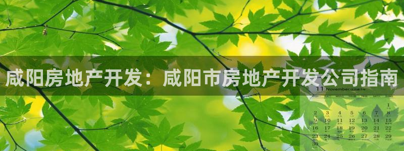 万向娱乐下载
