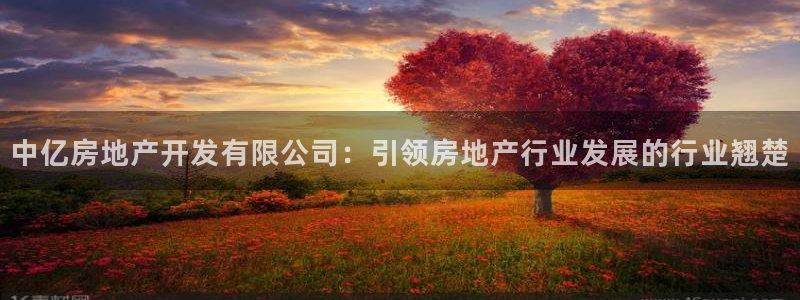 万向娱乐app