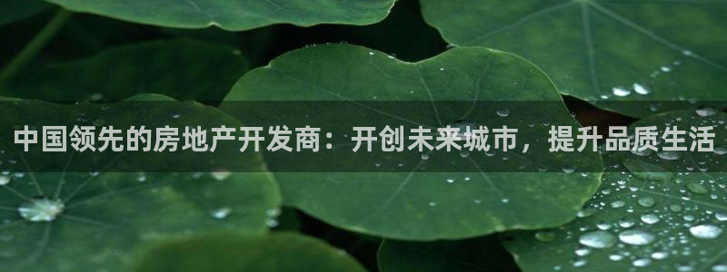 万向娱乐