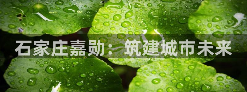 万向娱乐官网下载安装最新版