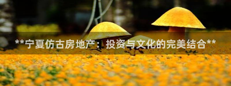 万向娱乐公司官网