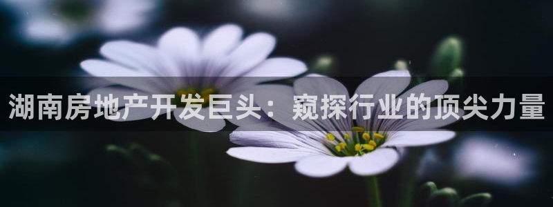 万向娱乐登陆官网