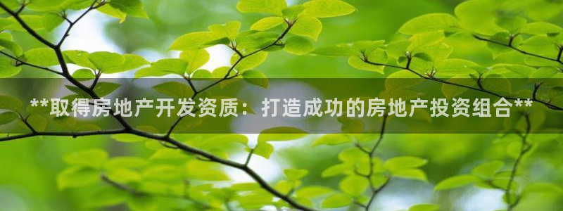 万向娱乐平台代理多少钱一个