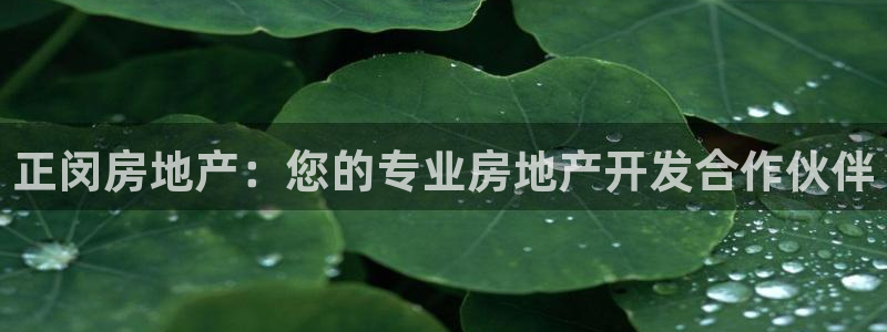 万向娱乐app下载官网