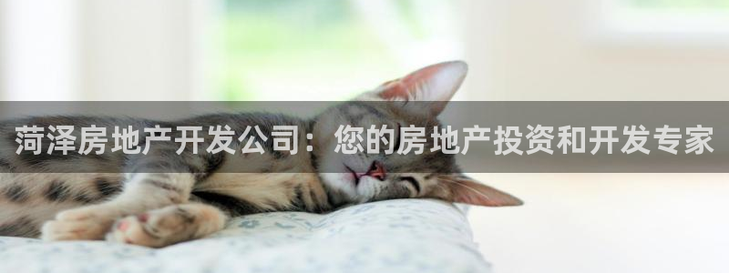 万向娱乐平台代理多少钱