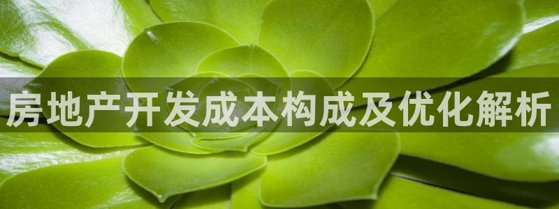 万向娱乐平台代理怎么样