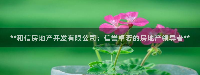 万向娱乐挂机软件