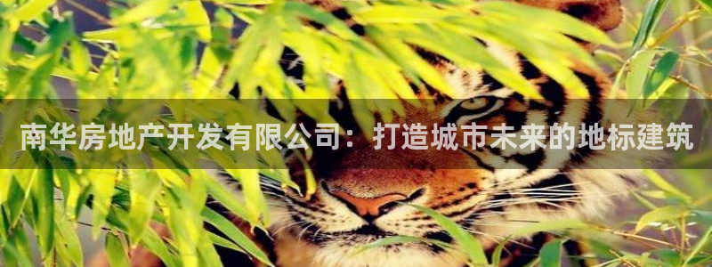 万向娱乐怎么样