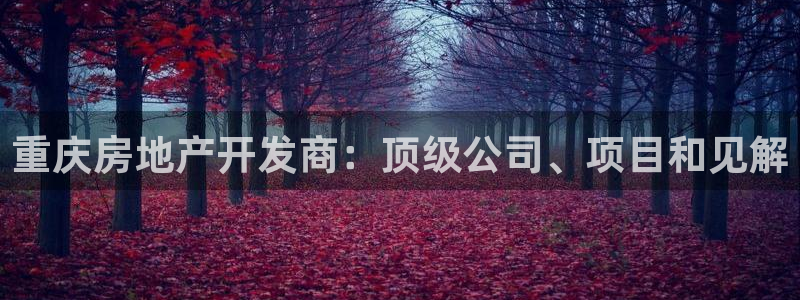 万向娱乐的联系方式