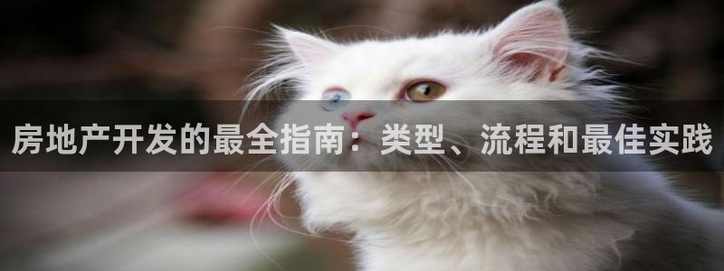 万向娱乐技术分享