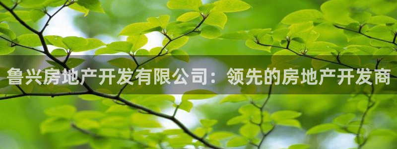 万向娱乐平台提现多久到账