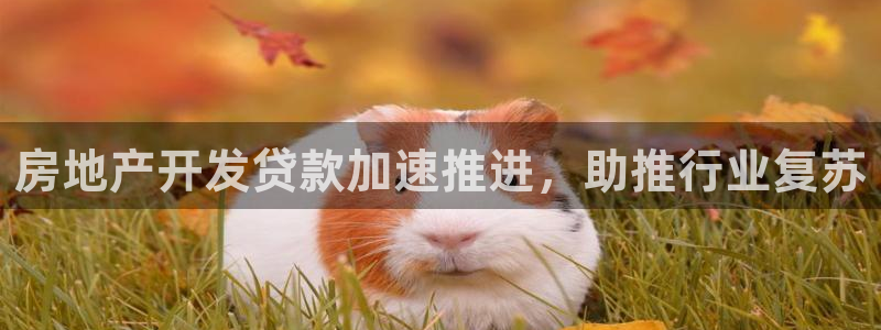 万向娱乐官网网址是什么