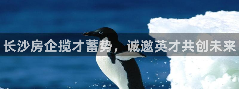 万向娱乐平台代理怎么做赚钱