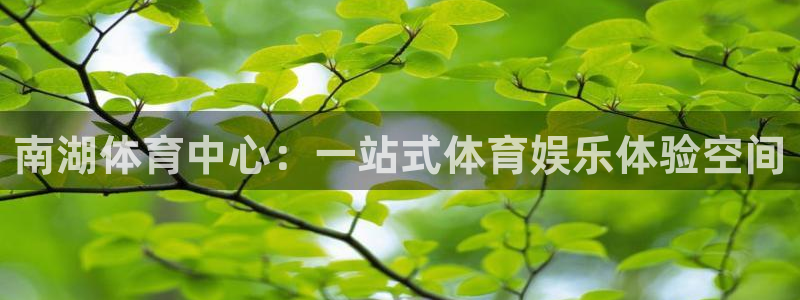 zyty中欧体育平台：南湖体育中心：一站式体育娱乐体验空间