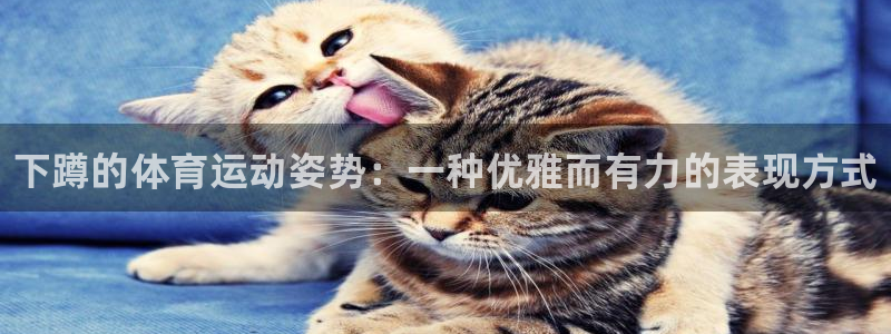 zyty中欧体育平台：下蹲的体育运动姿势：一种优雅而有力的表现方式