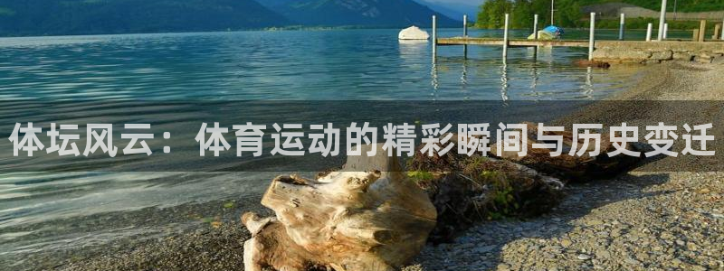 中欧体育官网：体坛风云：体育运动的精彩瞬间与历史变迁