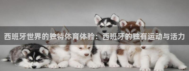 中欧体育平台：西班牙世界的独特体育体验：西班牙的独有运动与活力
