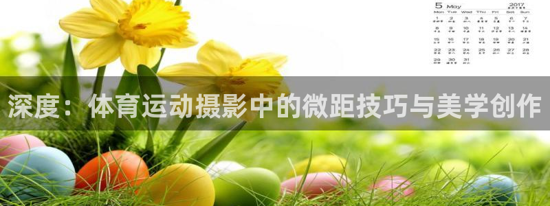 zyty中欧体育平台：深度：体育运动摄影中的微距技巧与美学创作