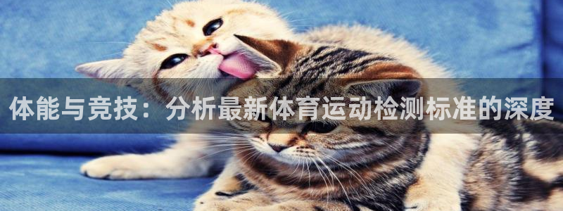 中欧体育网页登录：体能与竞技：分析最新体育运动检测标准的深度