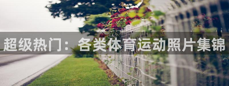 zoty中欧体育：超级热门：各类体育运动照片集锦