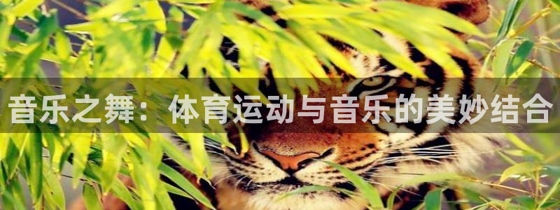 中欧体育(zoty)官网：音乐之舞：体育运动与音乐的美妙结合