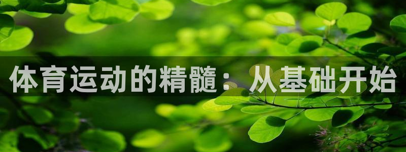 zoty中欧体育网址多少：体育运动的精髓：从基础开始