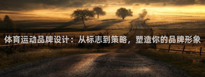 中欧体育集团：体育运动品牌设计：从标志到策略，塑造你的品牌形象
