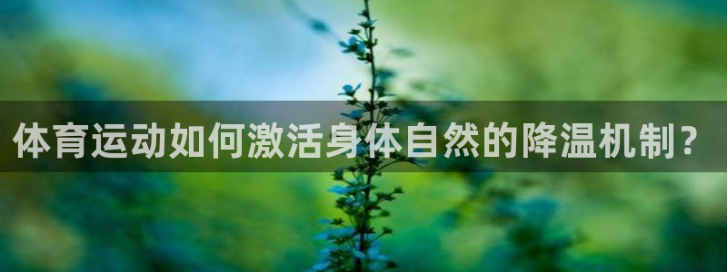 中欧体育kok：体育运动如何激活身体自然的降温机制？