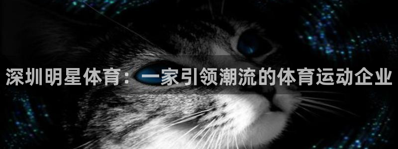 中欧体育网页登录：深圳明星体育：一家引领潮流的体育运动企业
